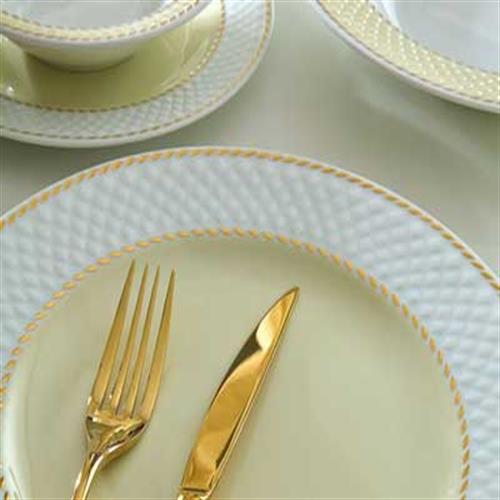 چینی زرین ایران